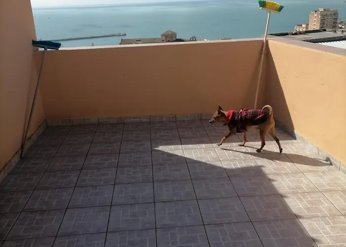 Baciata Dal Sole